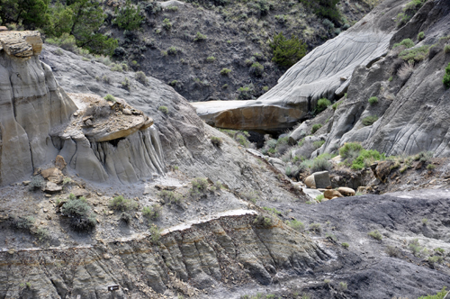 Montana's Makoshika State Park